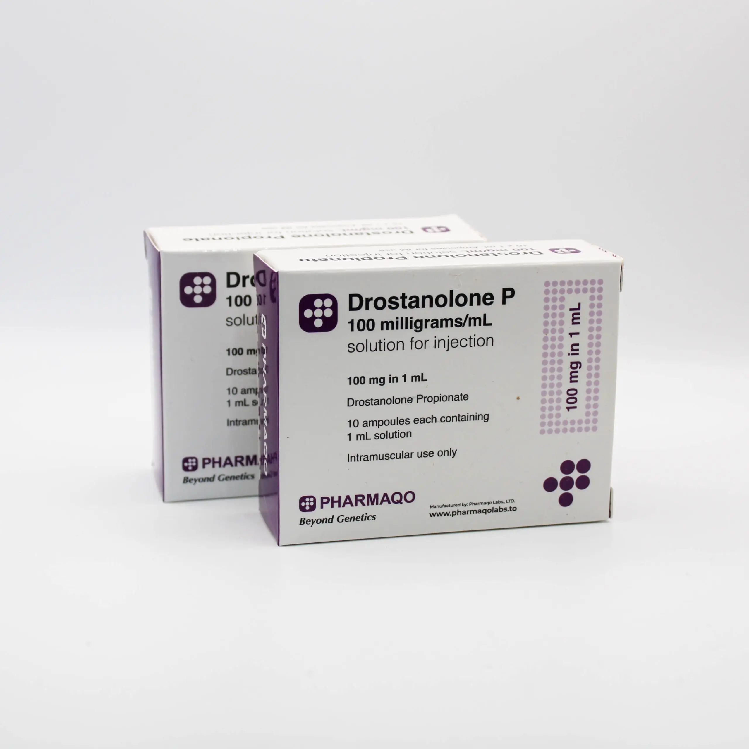 Dros-P-2-scaled-1.webp
