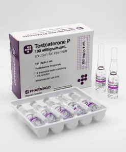 Testosterone Propionate 100mg – PharmaQo Labs [Amps]